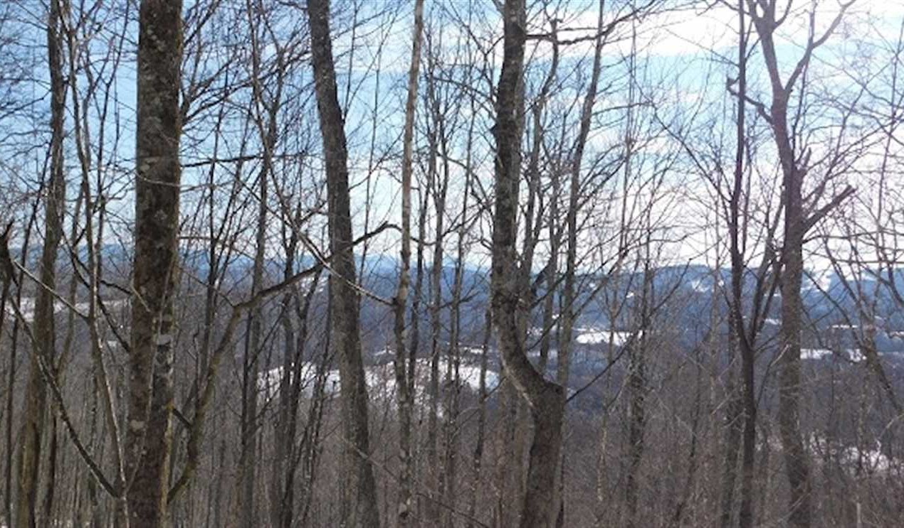 3.04 Acres of Residential land for sale in Whitetop, grayson County, Virginia