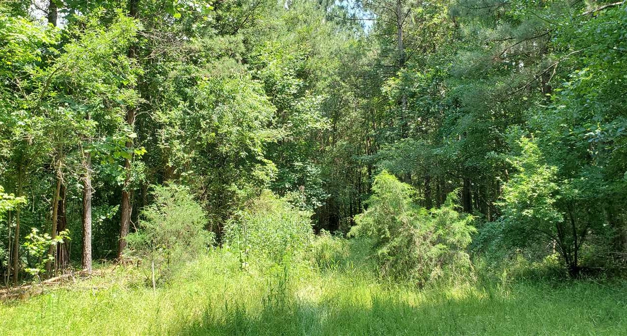 Land for sale at near 197 Hogan Road