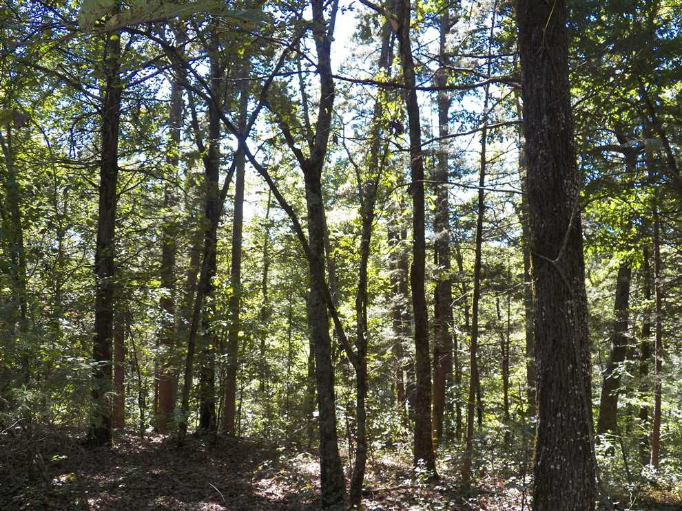 Houses and land for sale in Arkansas