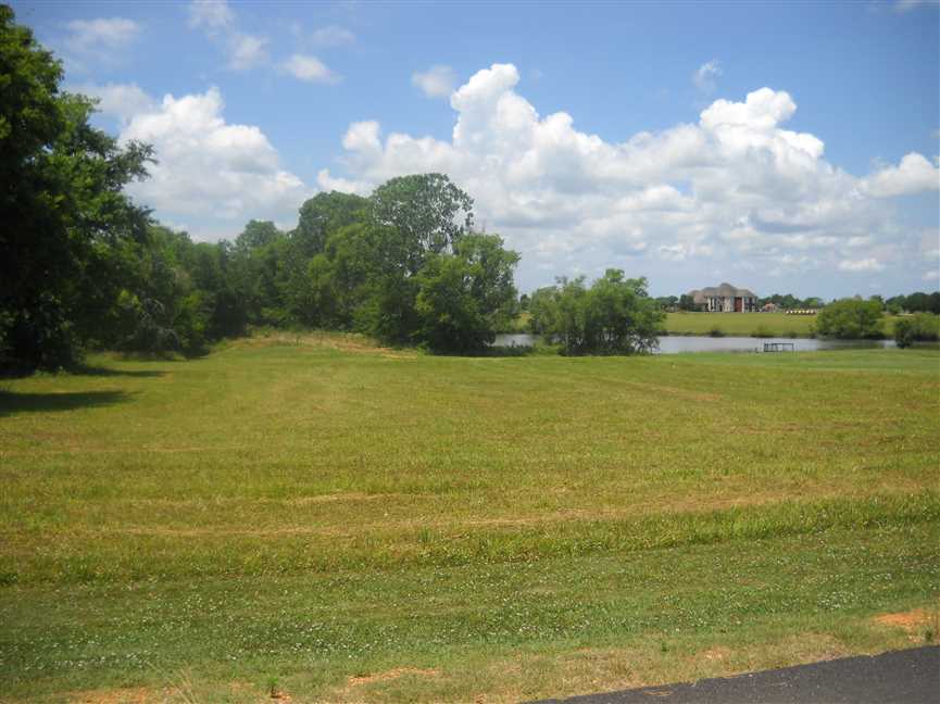 lowndes County, Alabama property for sale