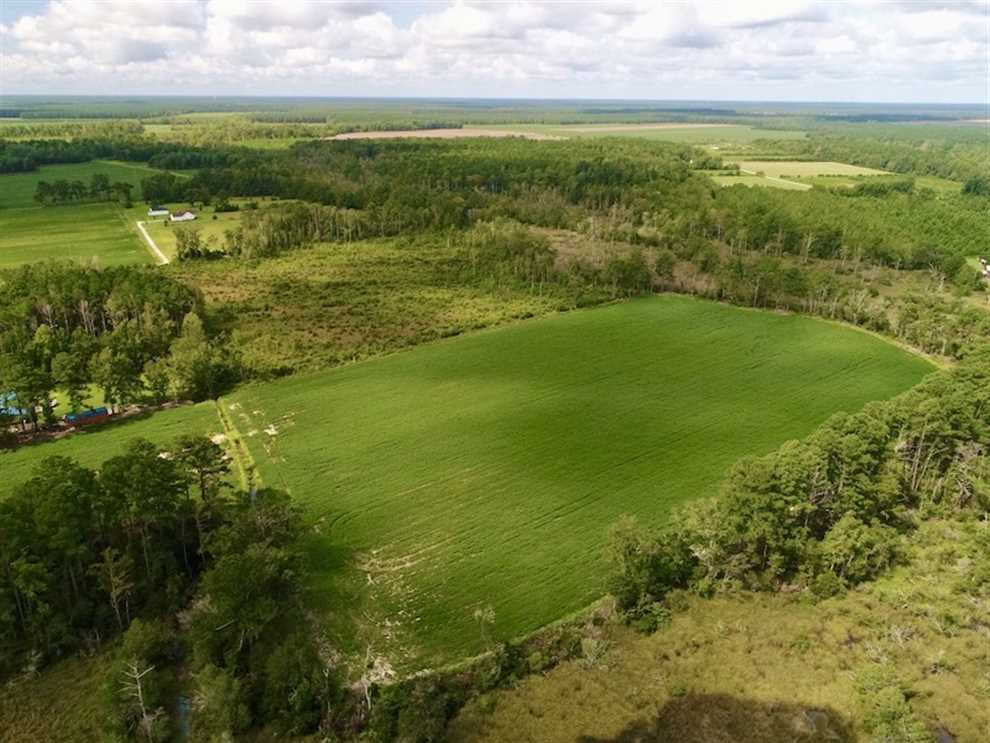 33 Acres of Land for Sale in pamlico County, North Carolina