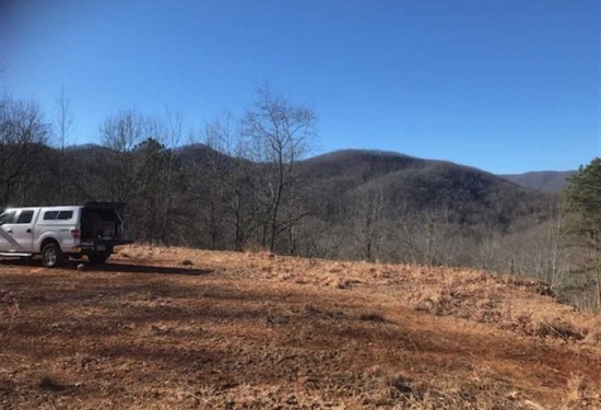 33.79 Acres of Land for Sale in macon County North Carolina