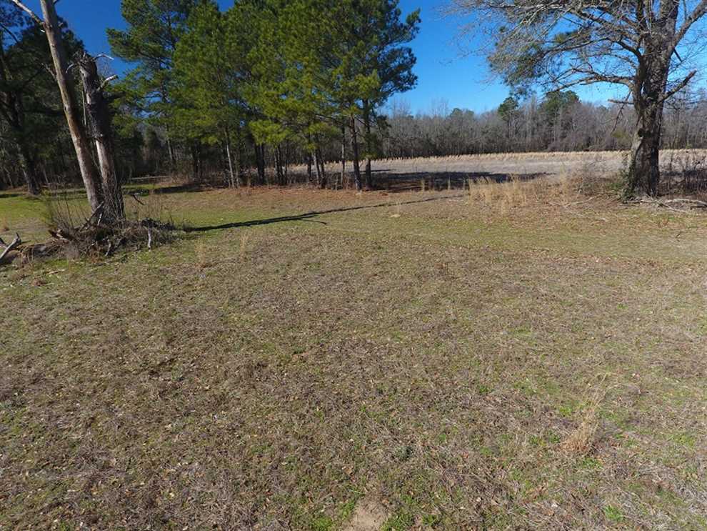 147.5 Acres of Land for sale in robeson County, North Carolina