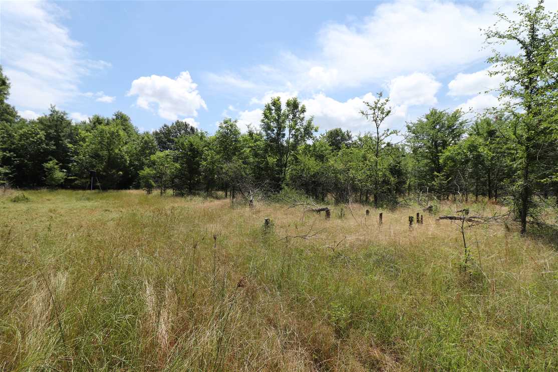 Land for sale to buy in 72040 zip code