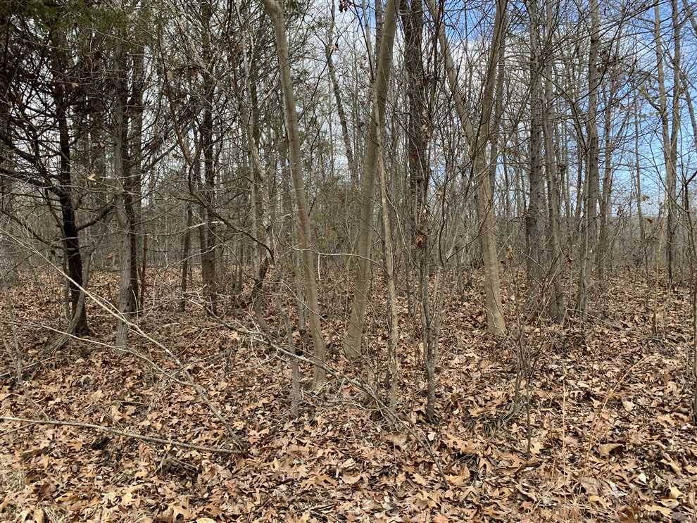 Land for sale at