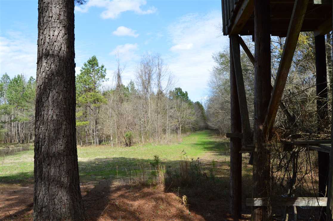 Land for sale at