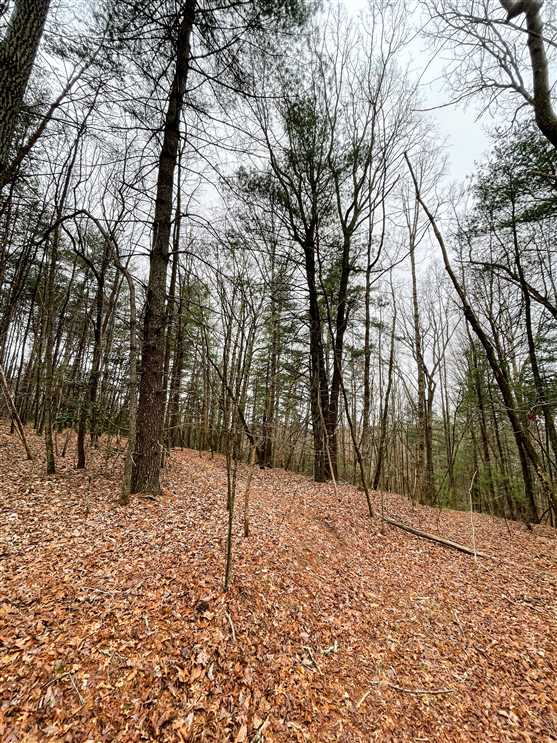 Houses and land for sale in North Carolina