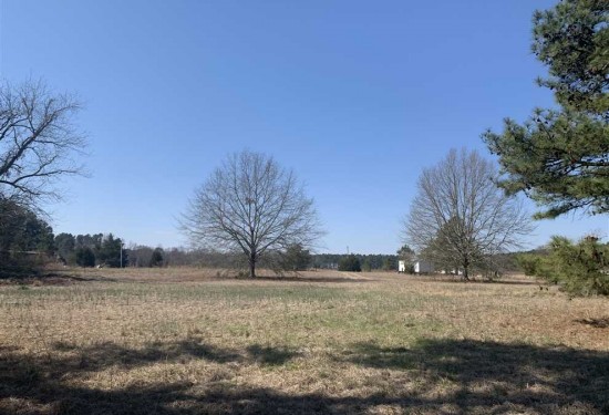 50 Acres of Land for Sale in anson County North Carolina
