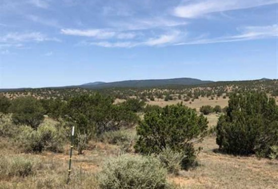 21.6 Acres of Land for Sale in lincoln County New Mexico