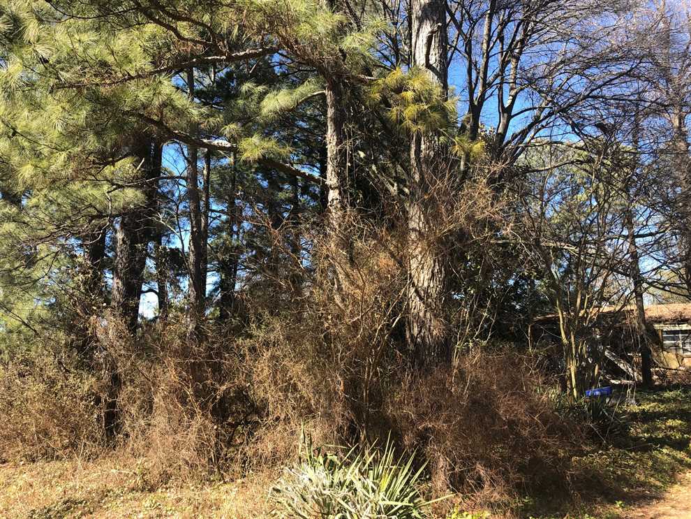 Recreational real estate available to buy
