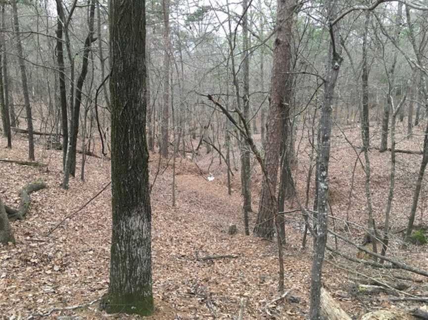 caddo County, Louisiana property for sale