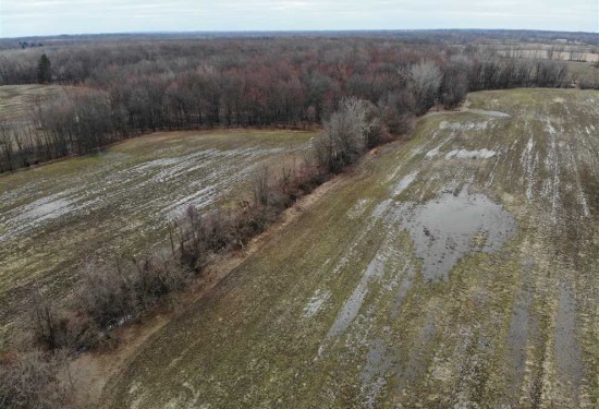 78.4 Acres of Land for Sale in van buren County Michigan