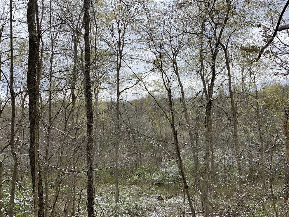 Land for sale at N. Branch Rd.