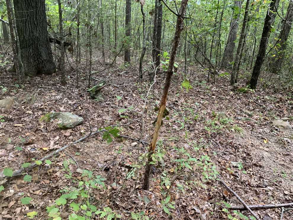 cleburne County, Arkansas property for sale
