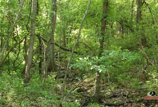 80 Acres of Land for Sale in wilson County Kansas