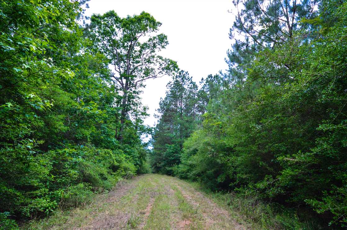 tyler County, Texas property for sale