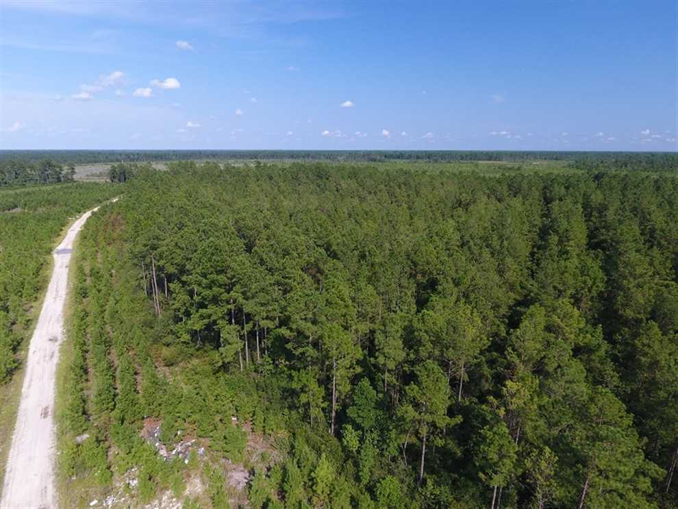 Houses and land for sale in North Carolina