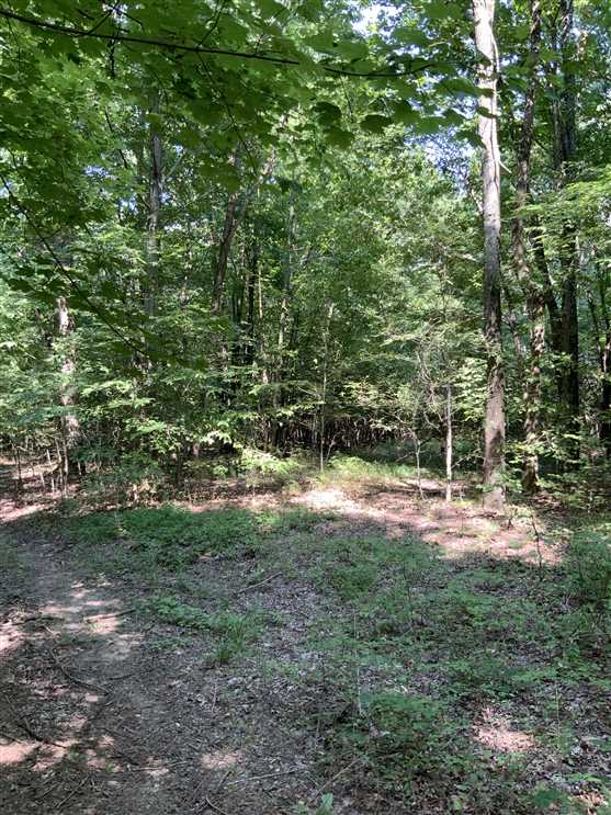 Land for sale at 20 Buck Court lot 179