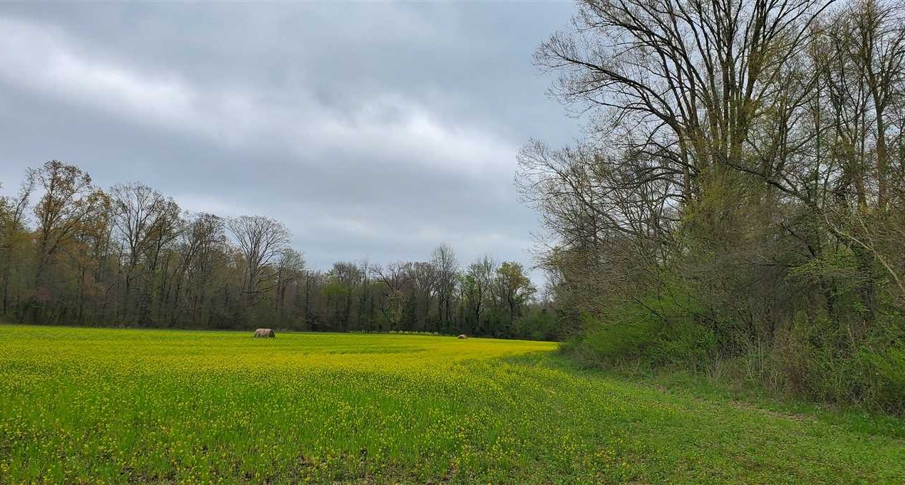 Recreational and   property for sale on The Land Market