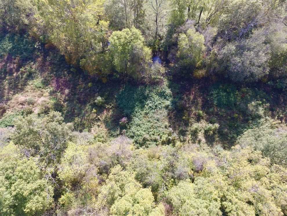 Property for sale at Off Springfield Rd