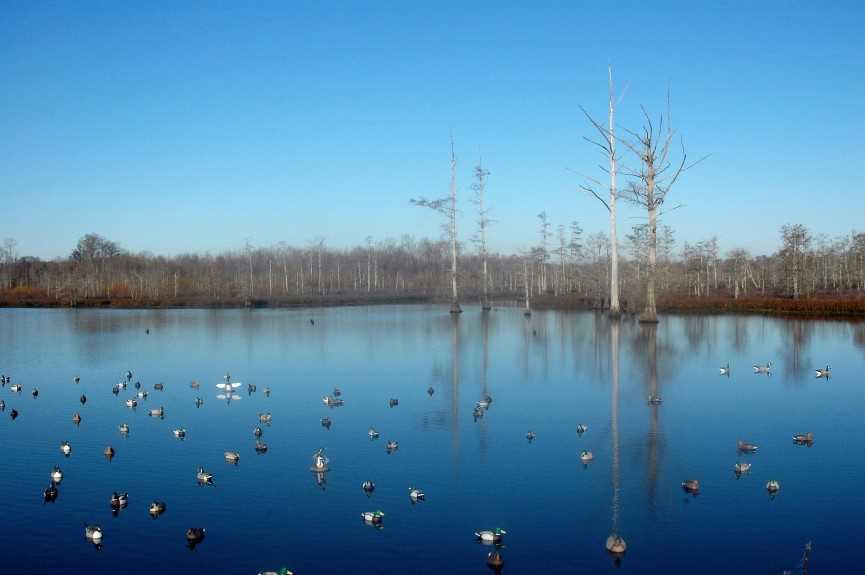 160 Acres of Land for sale in alcorn County, Mississippi