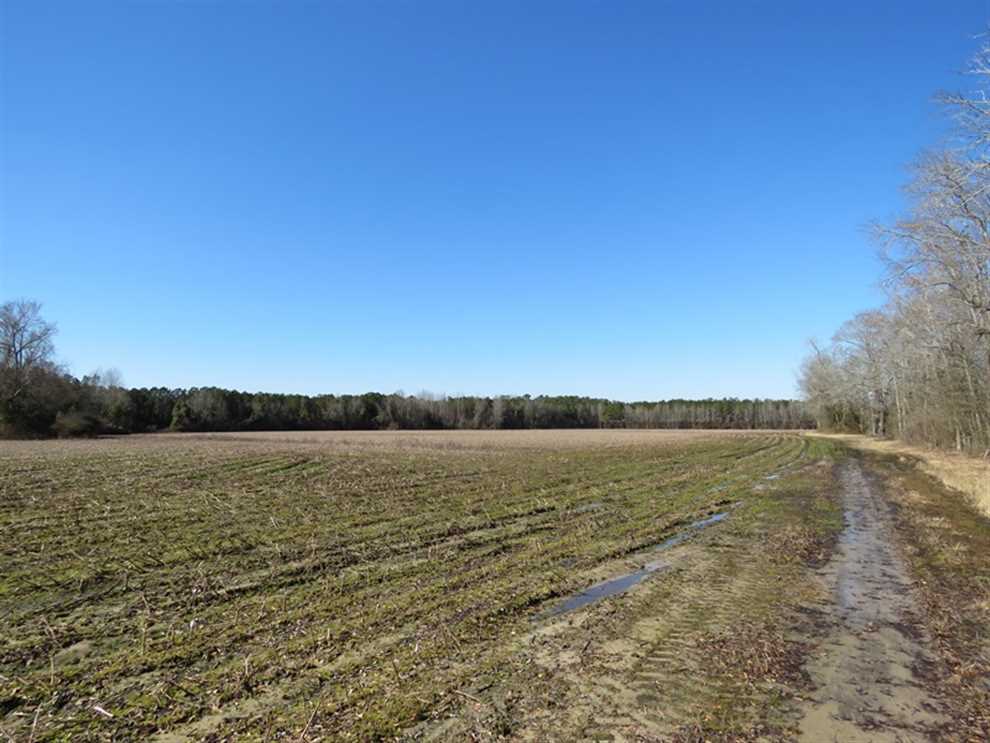Land for sale at 3431 AB Carter Road