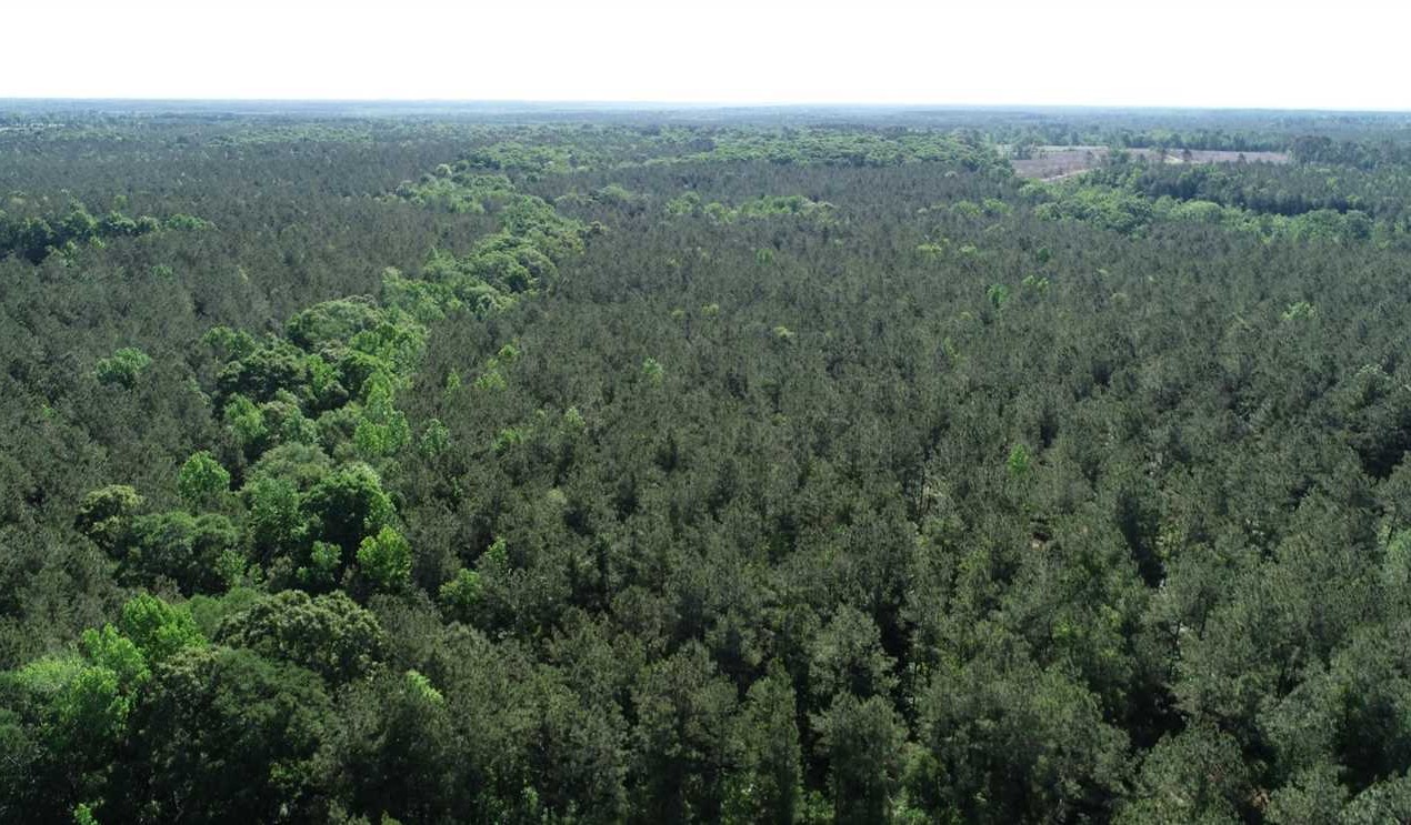 80 Acres of Recreational land for sale in Dubach, lincoln County, Louisiana
