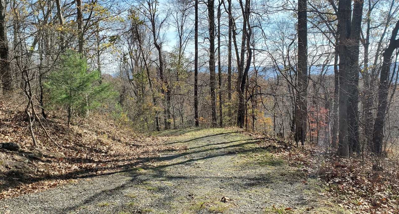 50+/- Acres in Jefferson, Ashe County Real estate listing