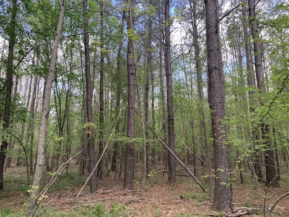 property for sale on The Land Market