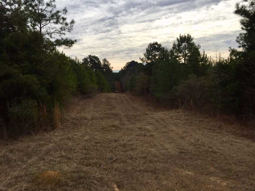 40 Acres of Recreational land for sale in Farmerville, union County, Louisiana