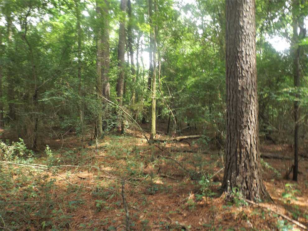25 Acres of Land for sale in ashley County, Arkansas