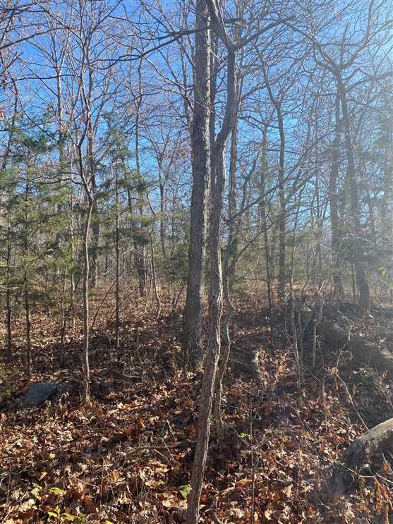 Land for sale at