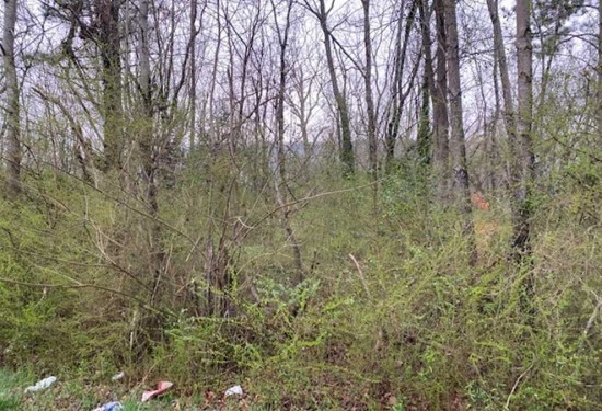 1.26 Acres of Land for Sale in marion County Tennessee