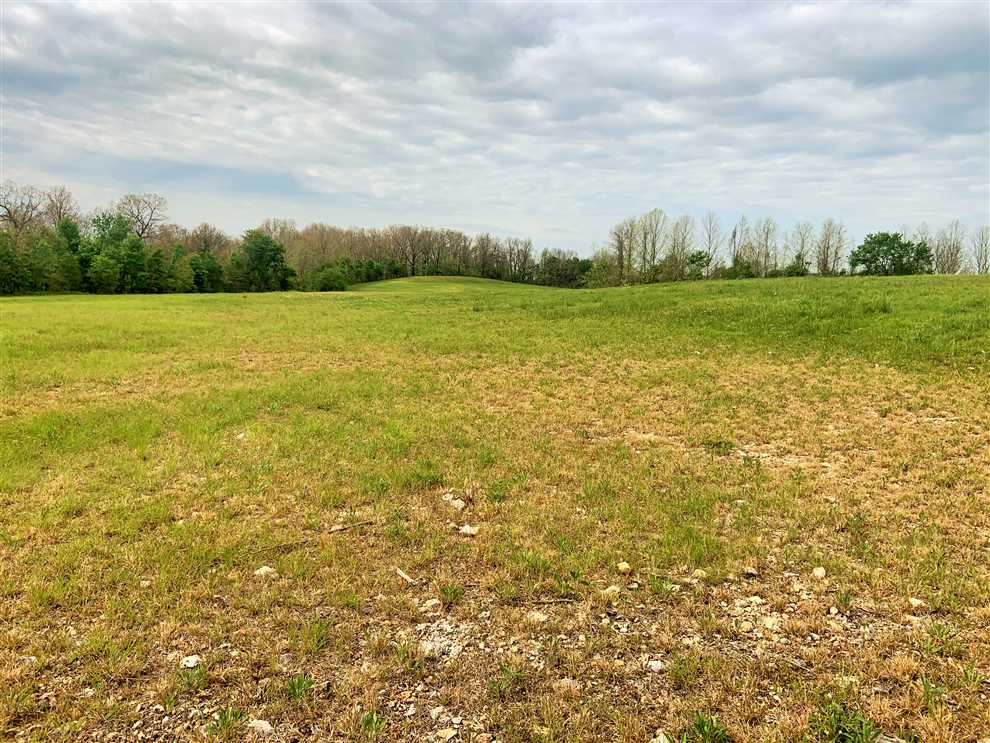 Land for sale to buy in 64831 zip code