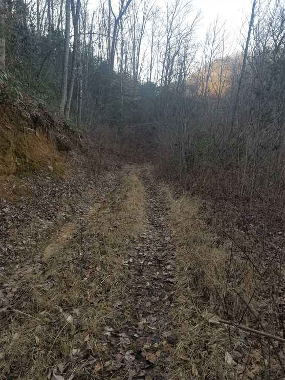 91+/- Acres With 1800ft Creek Frontage in Jackson County NC! Real estate listing
