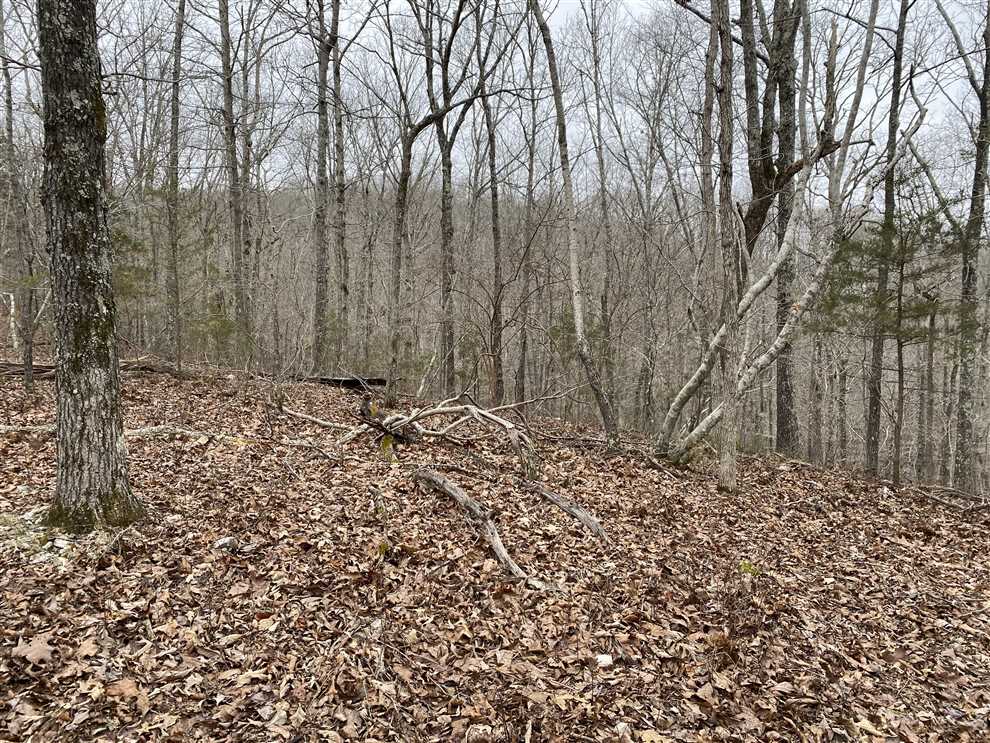 stone County, Arkansas property for sale