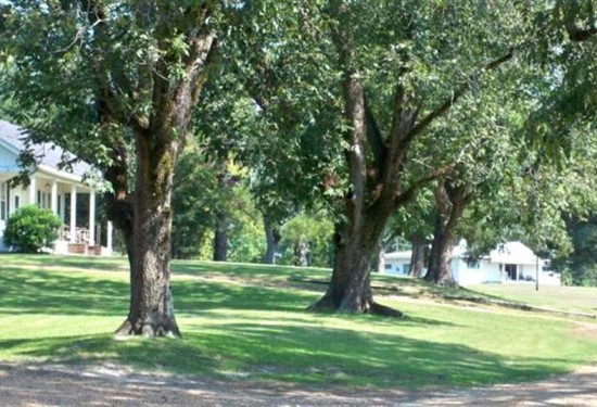 6395 Acres of Land for Sale in noxubee County Mississippi