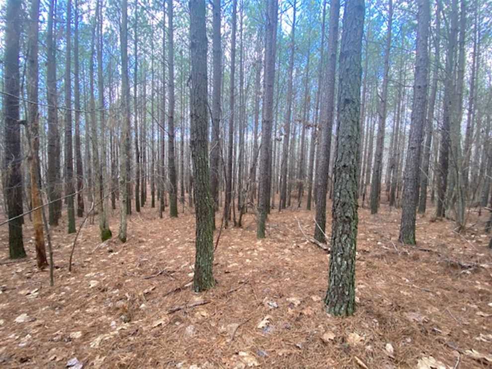 Land for sale to buy in 37380 zip code