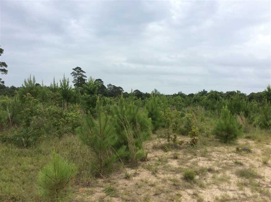 Land for sale at