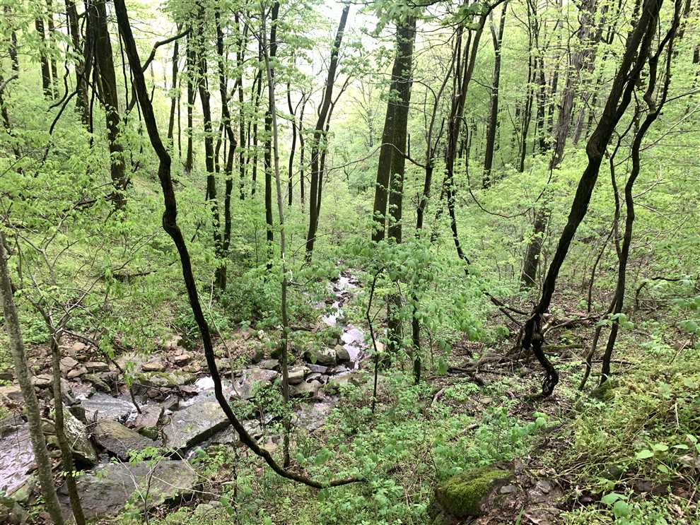 Recreational and   property for sale on The Land Market