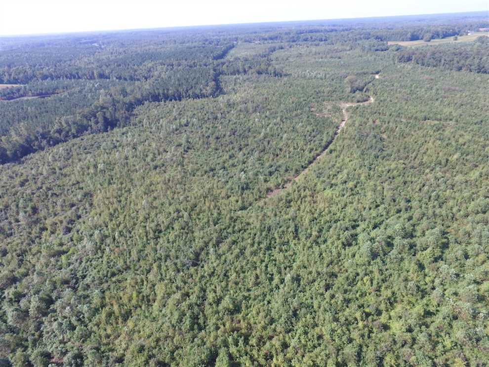 103 Acres of Land for sale in dinwiddie County, Virginia