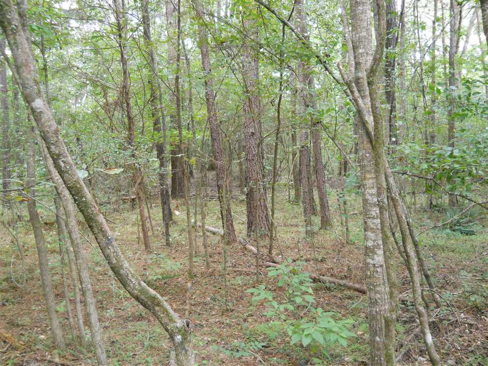 450 Acres of Land for sale in adams County, Mississippi
