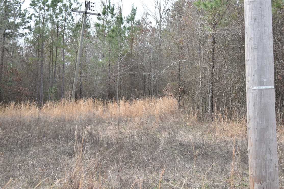 50 Acres of Land for sale in nevada County, Arkansas