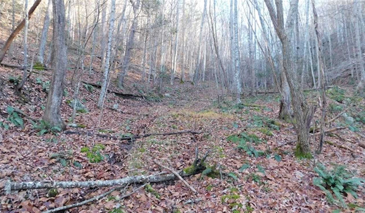 47.72 Acres of Land for sale in pulaski County, Virginia