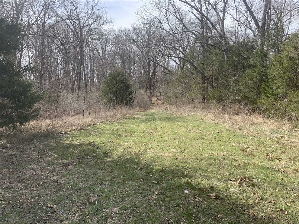 73 Acres of Recreational land for sale in Sparta, christian County, Missouri