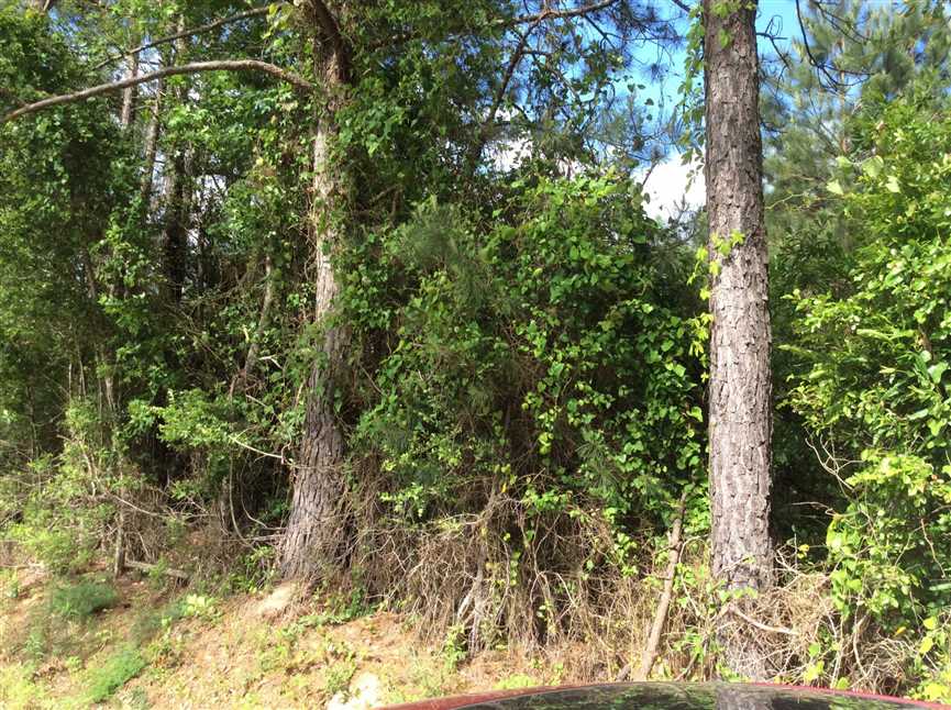 57 Acres of Recreational land for sale in DeRidder, beauregard County, Louisiana