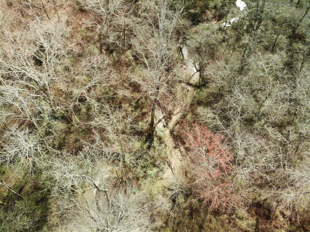 75 Acres of Land for sale in yadkin County, North Carolina