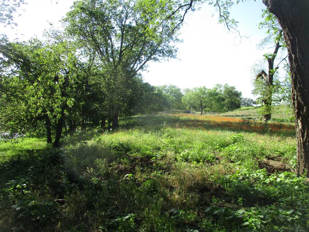 Land for sale to buy in 76550 zip code