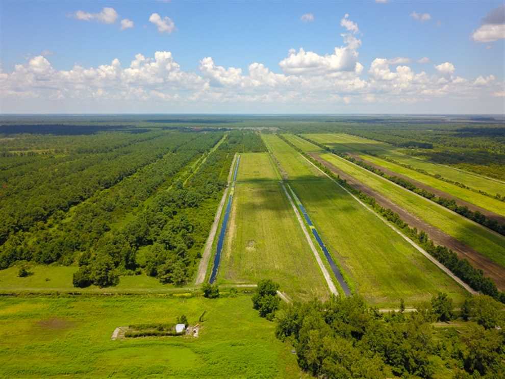 Property for sale at Off Piney Woods Road