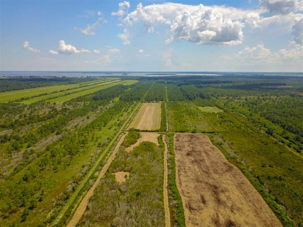 Residential and   property for sale on The Land Market